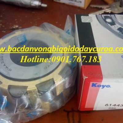 VÒNG BI - BẠC ĐẠN - 6144359 - KOYO