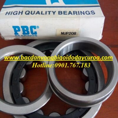 VÒNG BI - BẠC ĐẠN - NUP208