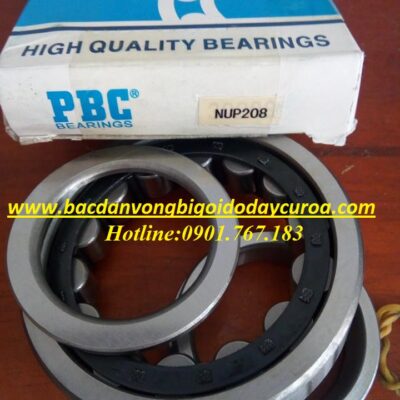 VÒNG BI - BẠC ĐẠN - NUP208 - PBC