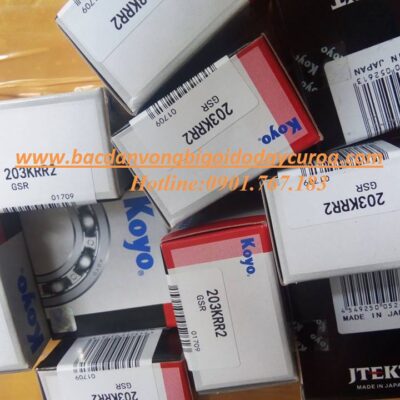 VÒNG BI - BẠC ĐẠN - 203KRR2