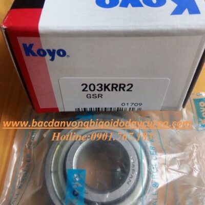 VÒNG BI - BẠC ĐẠN - 203KRR2 - KOYO