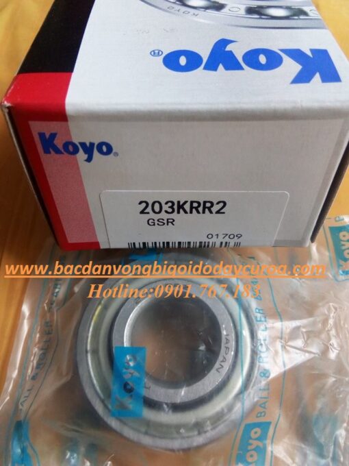 VÒNG BI - BẠC ĐẠN - 203KRR2 - KOYO