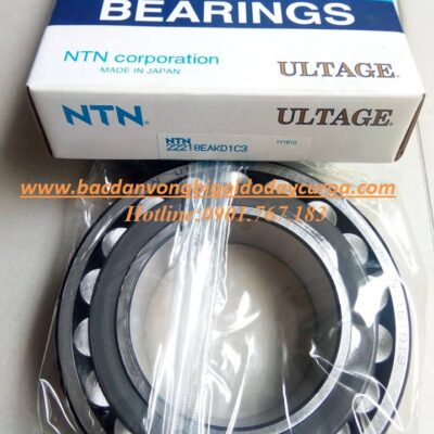 VÒNG BI - BẠC ĐẠN - 22218EAKD1C3
