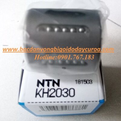 VÒNG BI - BẠC ĐẠN - KH2030