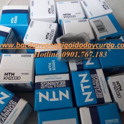 VÒNG BI - BẠC ĐẠN - KH2030 - NTN