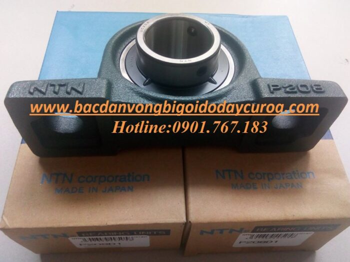 VÒNG BI - BẠC ĐẠN - UCP208
