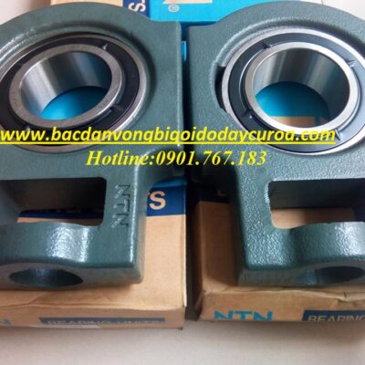 VÒNG BI - BẠC ĐẠN - UKT213