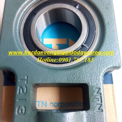 VÒNG BI - BẠC ĐẠN - UKT213 - NTN
