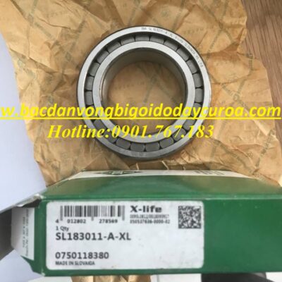 VÒNG BI - BẠC ĐẠN - SL183011-A-XL