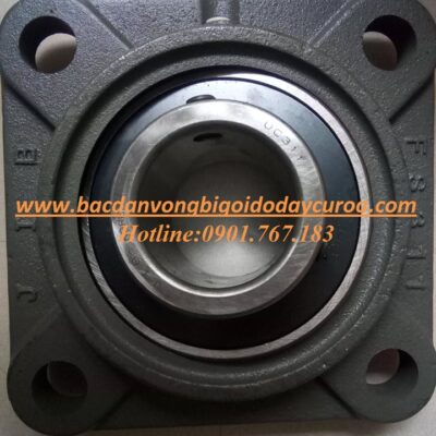 VÒNG BI - BẠC ĐẠN - UCFS311