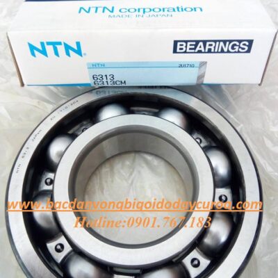VÒNG BI - BẠC ĐẠN - 6313 NTN