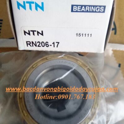VÒNG BI - BẠC ĐẠN - RN206-17