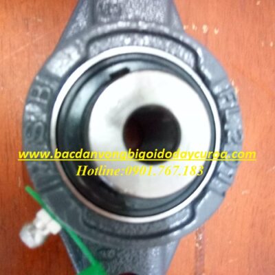 VÒNG BI - BẠC ĐẠN - UCFL201