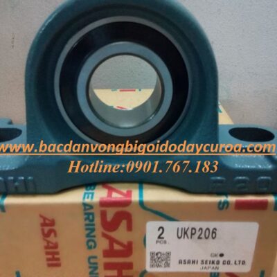 VÒNG BI - BẠC ĐẠN - UKP206 ASAHI
