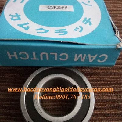 VÒNG BI - BẠC ĐẠN - CSK25