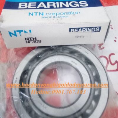 VÒNG BI - BẠC ĐẠN - NF309