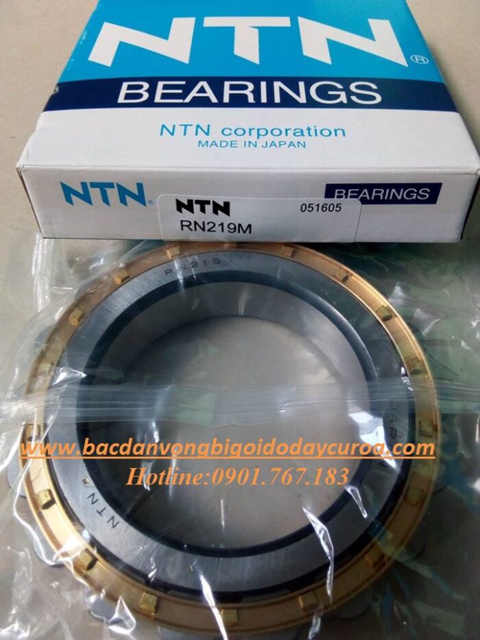 VÒNG BI - BẠC ĐẠN - RN219M NTN