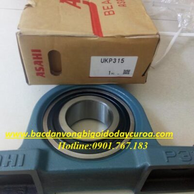 BẠC ĐẠN - VÒNG BI - UKP315 ASAHI