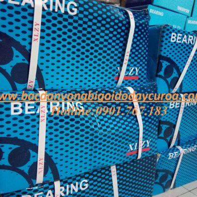 VÒNG BI - BẠC ĐẠN XLZY