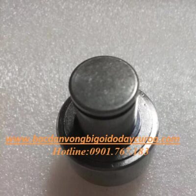 VÒNG BI - BẠC ĐẠN - 202909A IKO