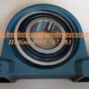 GỐI ĐỠ P313 - ASAHI
