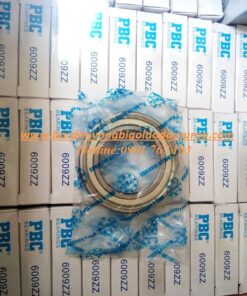 VÒNG BI - BẠC ĐẠN - 6009ZZ PBC