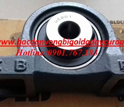 GỐI ĐỠ P201 - ASAHI