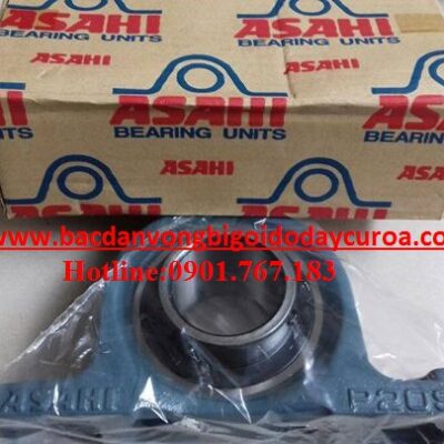 GỐI ĐỠ P219 - ASAHI