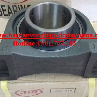 VÒNG BI UCP218 - ASAHI