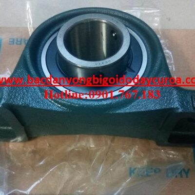 VÒNG BI UCP311 - ASAHI