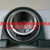 GỐI ĐỠ UCP322