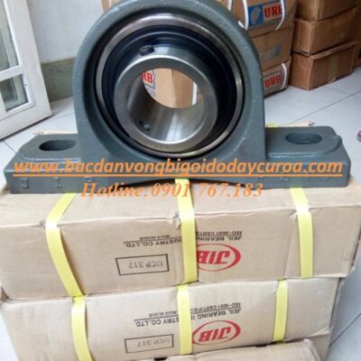 GỐI ĐỠ UCP317