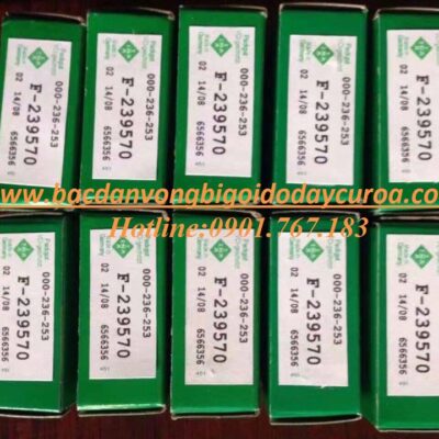 CÔNG TY NHẬP KHẨU BẠC ĐẠN