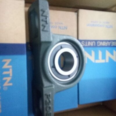 GỐI ĐỠ UCP305
