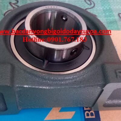 GỐI ĐỠ UCP207