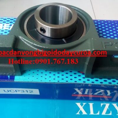 GỐI ĐỠ UCP312
