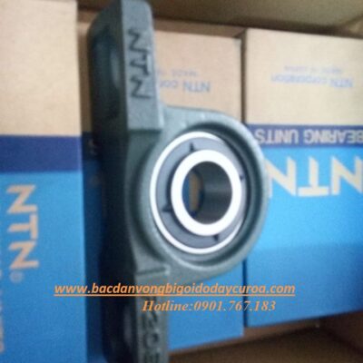 VÒNG BI - BẠC ĐẠN - GỐI ĐỠ UCP205-P205 - NTN