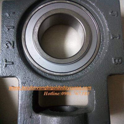 VÒNG BI - BẠC ĐẠN - GỐI ĐỠ UKT211-T211