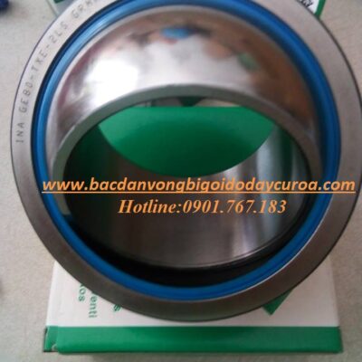 VÒNG BI - BẠC ĐẠN MẮT TRÂU INA