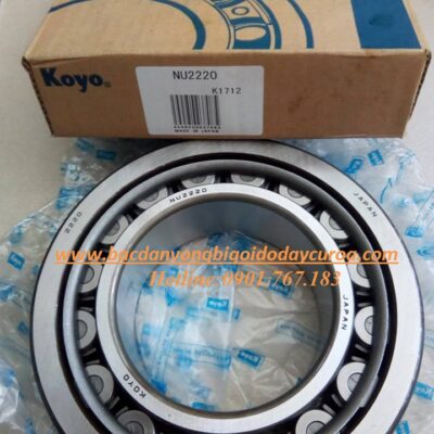 VÒNG BI - BẠC ĐẠN - NU2220