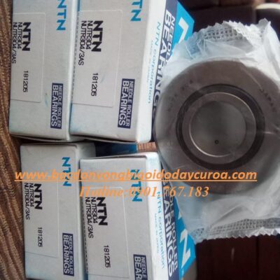 VÒNG BI - BẠC ĐẠN - NUTR304 NTN