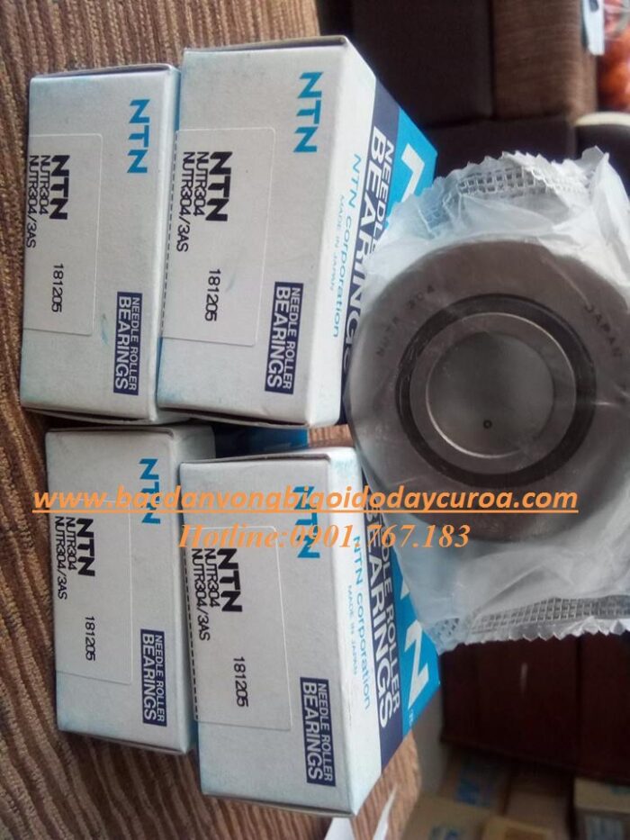 VÒNG BI - BẠC ĐẠN - NUTR304 NTN