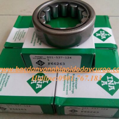 VÒNG BI - BẠC ĐẠN F66263 INA