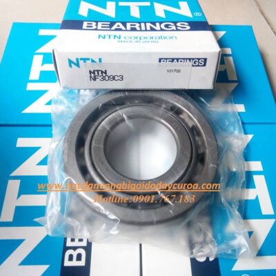 VÒNG BI - BẠC ĐẠN NF309C3 NTN