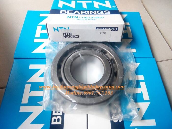 VÒNG BI - BẠC ĐẠN NF309C3 NTN