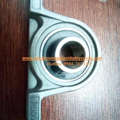 VÒNG BI - BẠC ĐẠN P001-UP001 ASAHI