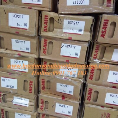 VÒNG BI - BẠC ĐẠN UCP217 ASAHI