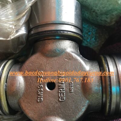 BẠC ĐẠN CHỮ THẬP