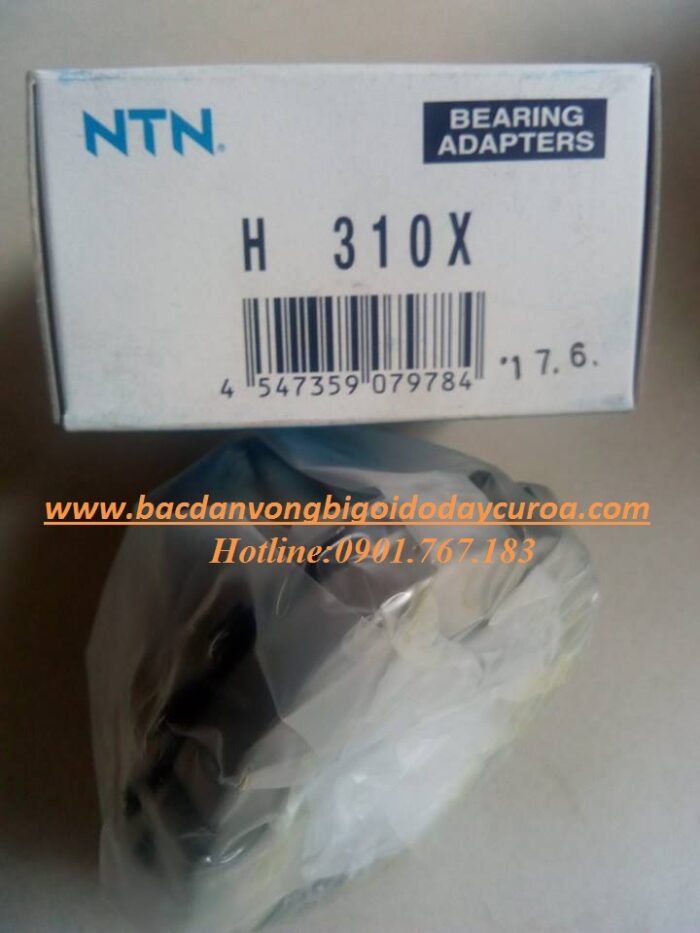 MĂNG XÔNG H310