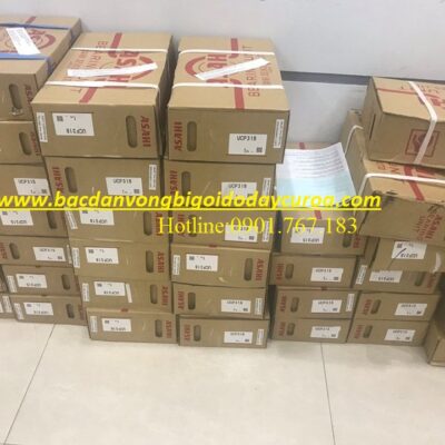 BẠC ĐẠN - VÒNG BI P318 ASAHI